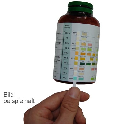 Urin-Schnelltest Easystrips MT10 zur Krankheiten-Früherkennung