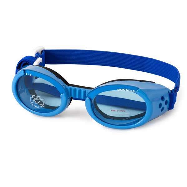 Xs dog goggles hotsell