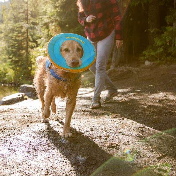 Hunde-Frisbee hydro plane - Ruff Wear | dogs4friends.de