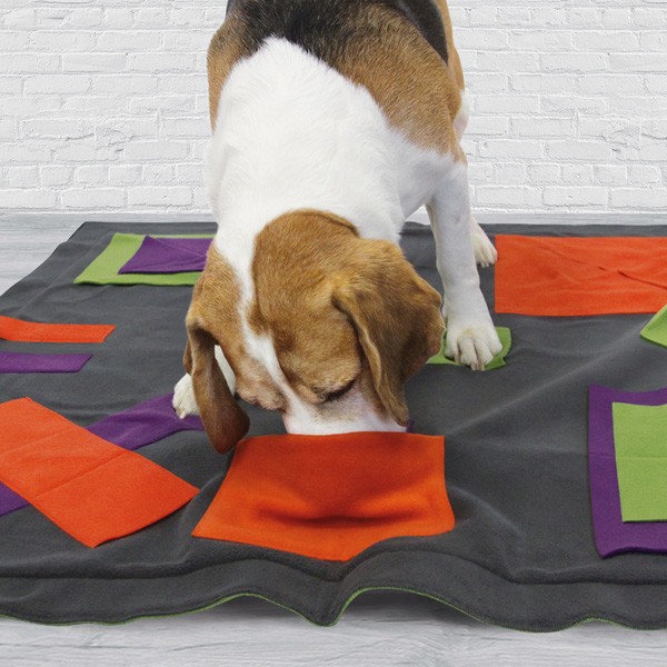 Sniffpad Schnüffeldecke von Knauders Best fördert das Hunde-Vertrauen