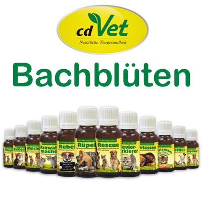 Wertvolle Bio-Bachblüten für Hunde, Katzen, Pferde von cdVet