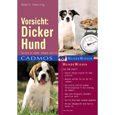 Vorsicht: Dicker Hund - so wird er schlank, so bleibt er fit