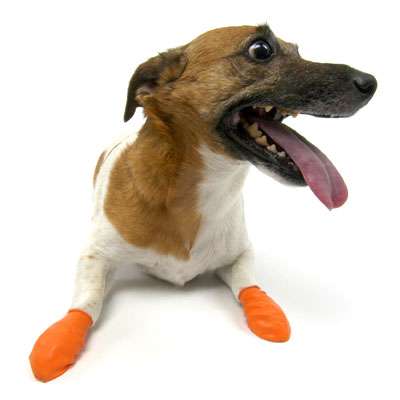 Orange Popy Packs XL Hundekotbeutel – 27,9x33 Cm, 250 Stück, Abbaubar, Für Große Hunde