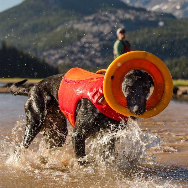 Schwimmweste für Hunde Schwimmweste für Hunde Tactical Safety Lifesaver Float Coat Schwimmanzug Schwimmweste mit Verstellbarer Schnalle Blau Grün Rosa 