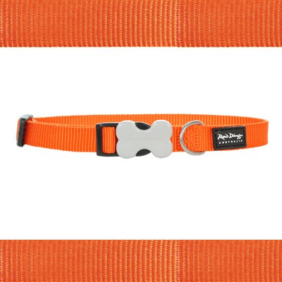 Hundehalsband aus Nylon von Red Dingo in saftigem Orange