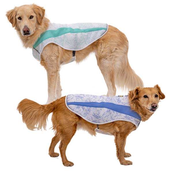 Hunde Kühlweste Mit Geschirr - Leichte Kühljacke Für Kleine & Mittlere Hunde Im Sommer