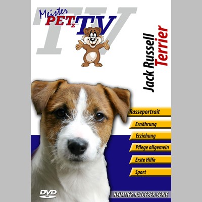 Jack Russell Terrier Hunderasse-Video-Portrait auf DVD