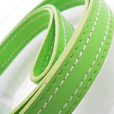 Grüne exklusive Hundeleinen Martingale Green von Hamish McBeth
