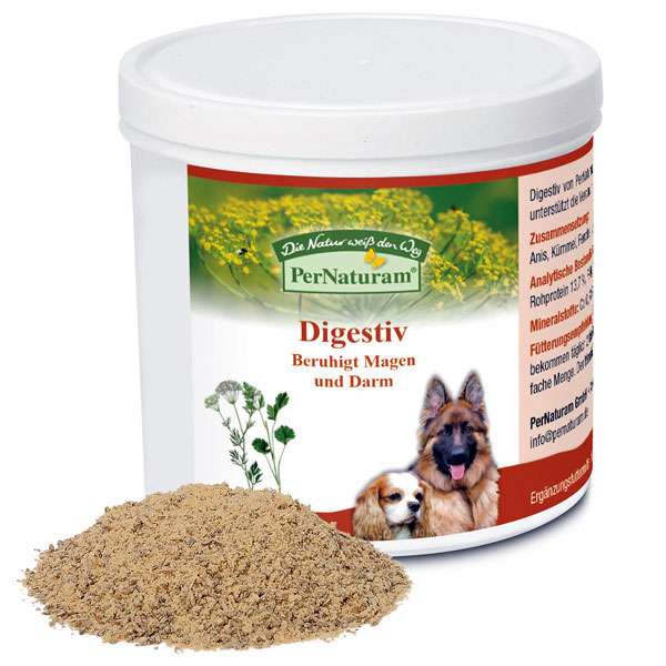 Darm Stoffwechsel - gesund für den Hund | dogs4friends.de