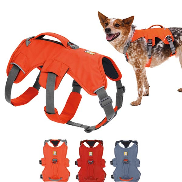 Sportliches Hundegeschirr Web Master Harness von Ruff Wear
