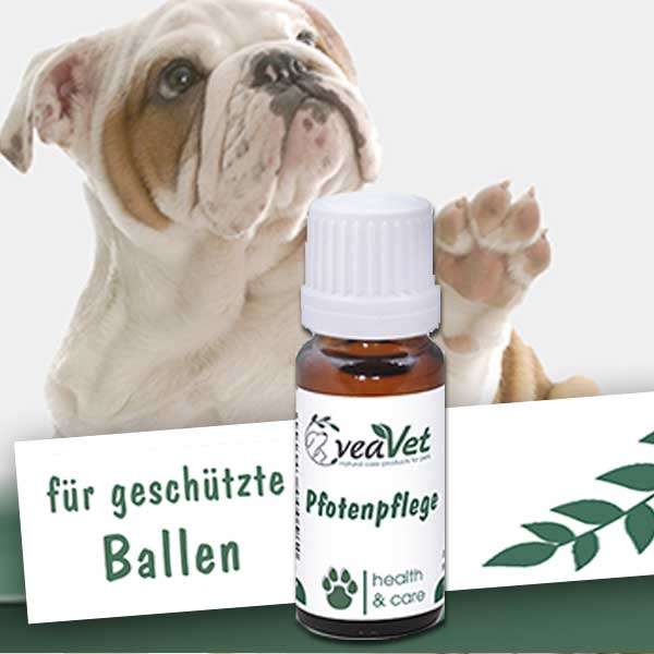 cdVet Pfotenpflege VeaVet Pfote Gesundheit Hund Hunde dogs4friends.de