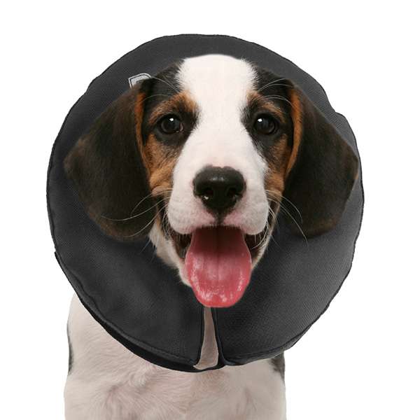 Leckschutz für Hunde Halskragen, Plaster, Bandagen dogs4friends.de
