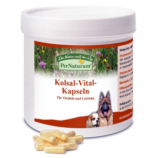 Kolsal-Vital-Kapseln von PerNaturam - für Vitalität & Leistung