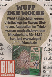 Dog Rocks - dogs4friends.de