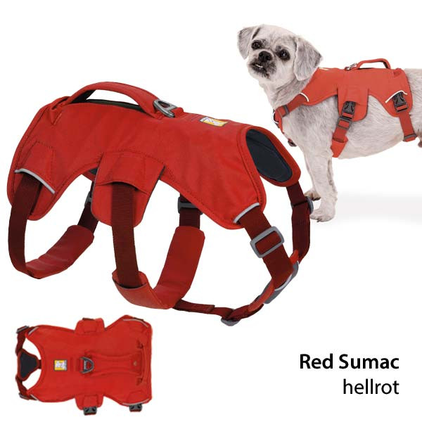 Sportliches Hundegeschirr Web Master Harness von Ruff Wear