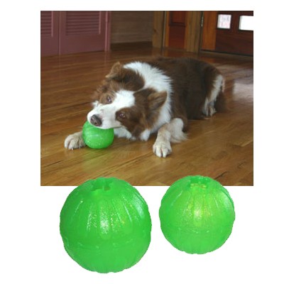 Kau-stabiler Everlasting Fun-Ball von Star Mark