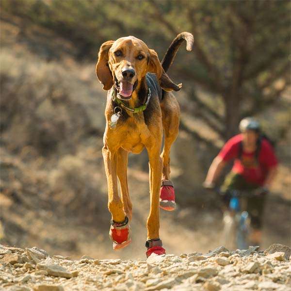 Die Vorteile der Grip Trex Dog Boots Hundeschuhe von Ruff Wear im