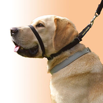 Canny Collar - tierfreundliches Erziehungs-Halsband