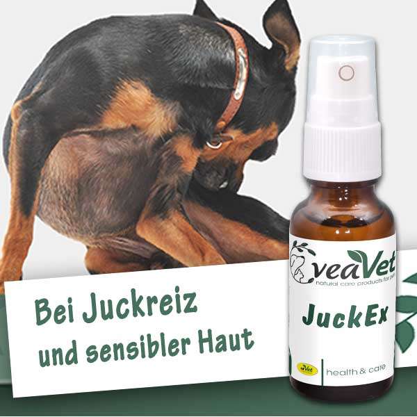 Allergie beim Hund nutze die Kräfte der Natur dogs4friends.de