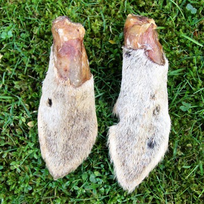 Lammohren mit Fell - Darm- und Zahnputzer für Allergikerhunde