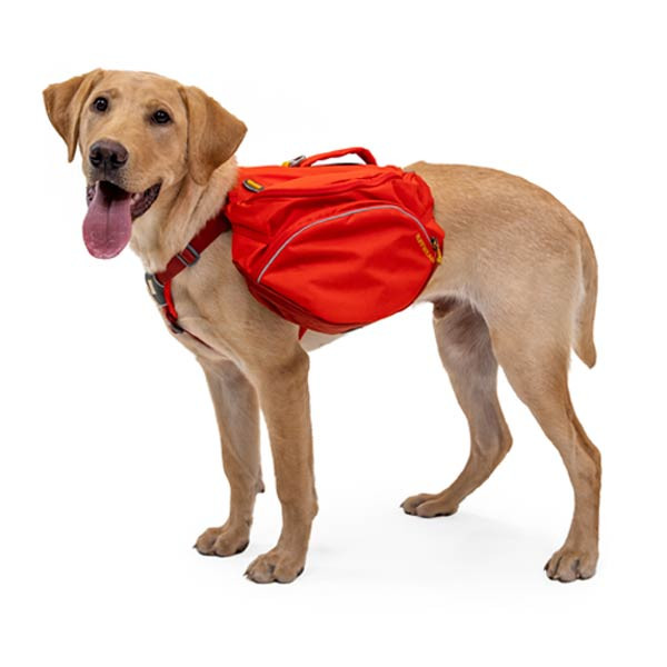 Hunderucksack Palisades Pack von Ruff Wear - das Spitzenmodell