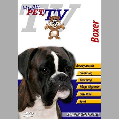 Deutscher Boxer Hunderasse-Video-Portrait auf DVD