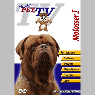 Molosser I Hunderasse-Video-Portrait auf DVD