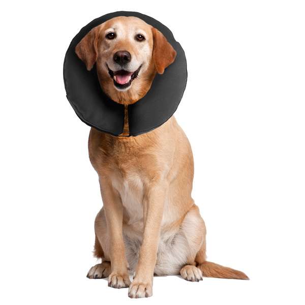VILLCASE Hunde- & Katzenhalsband Mit Schleife – Gelb, Weiches PU-Material